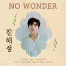 진해성 - No Wonder 이미지