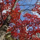 자매근린공원 이미지