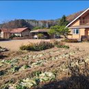 노천초등학교 이미지