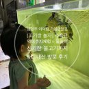 꼬기랑놀자