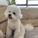우리다온약국 이미지