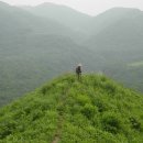 녹색화원 이미지