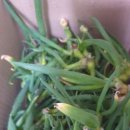 삼동2호 이미지