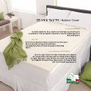 벨라플렉스 이미지