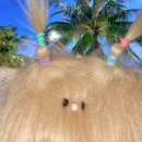 더스티(DUSTY) 이미지