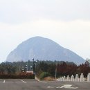 제주건강과 성박물관 이미지