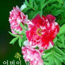 커피허브 이미지