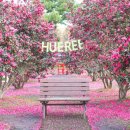 신례동로 이미지