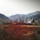 인제스피디움 주유소 네이버블로그