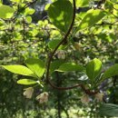 큰골민박 이미지