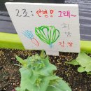 치우농장 네이버블로그