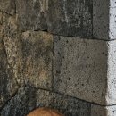 카멜리아한의원 이미지