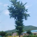 고랑정미소 이미지