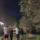 더큐브펜션