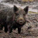 당현초교 이미지