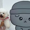 솜이네소품샵
