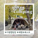 동광양키즈태권도 | 가평 제령포레스트 캠핑장｜낙엽 바스락 소리에 힐링하고 온 키즈캠핑장