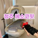 인더라인25(등3) | 누워서 하는 다이어트 청주 에소코핏 효과 솔직 후기