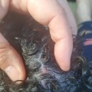 SKY메디칼 이미지