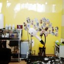 숑숑 그루밍 이미지