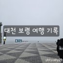 대천2 | 대천 보령 한아름펜션 대인원 단체 2박3일 여행 후기 (feat.크리스마스)