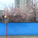 세븐일레븐 함안가야점 이미지