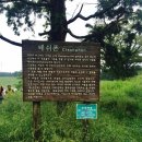 새대한목장 이미지