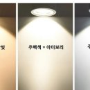 조명의신