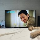 여우 노래연습장 이미지