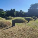 동일리-6 이미지