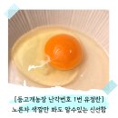 등고개2 | 매일 먹는 계란이라 더 신중하게, 등고개농장 유정란 솔직 후기