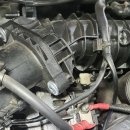 곰모터스 이미지