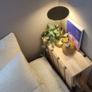 타무라하우스 이미지