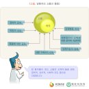 동래성모병원 이미지