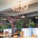 슬로우가든 이미지