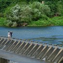 단종 어수정 이미지