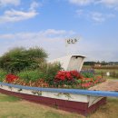 시흥 갯골생태공원 이미지