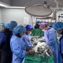 하나병원 이미지