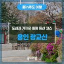 농부커피 네이버블로그