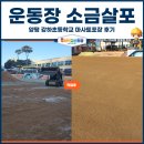 경기도 양평군 정배초등학교 | 운동장 소금살포, 양평 강하초등학교 마사토포장 후기