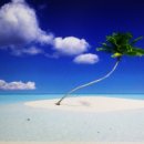 마블농장 이미지