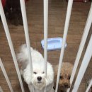 약수동농장 이미지