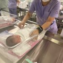 닥터안산후조리원 | 대구 닥터안 산후조리원 초산모 후기 (+오케타니 가슴마사지 추가)