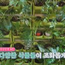카페thegreen