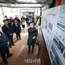 아라곤충 이미지