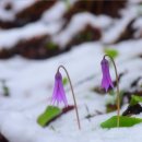 주식회사 청산농업회사법인