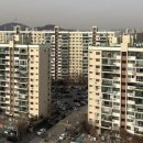 압구정강남공인중개사사무소 이미지