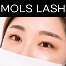 (주)모앤크리에이티브 | 서울대입구 속눈썹 펌앤연장 잘하는 몰스래쉬 솔직후기