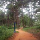 소류지공원(1) 이미지