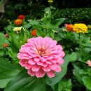 (주)우리생약 이미지